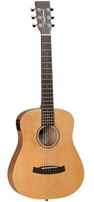 Tanglewood TW2 T SE Winterleaf